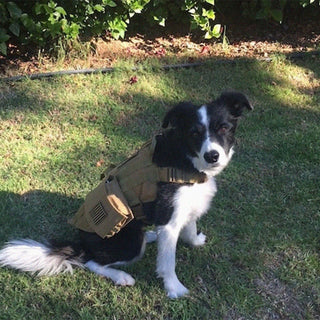 Echo-Sigma “Dog Pack” Emergency Kit