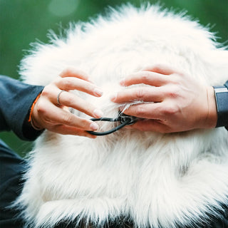 The Polar Bearaclava