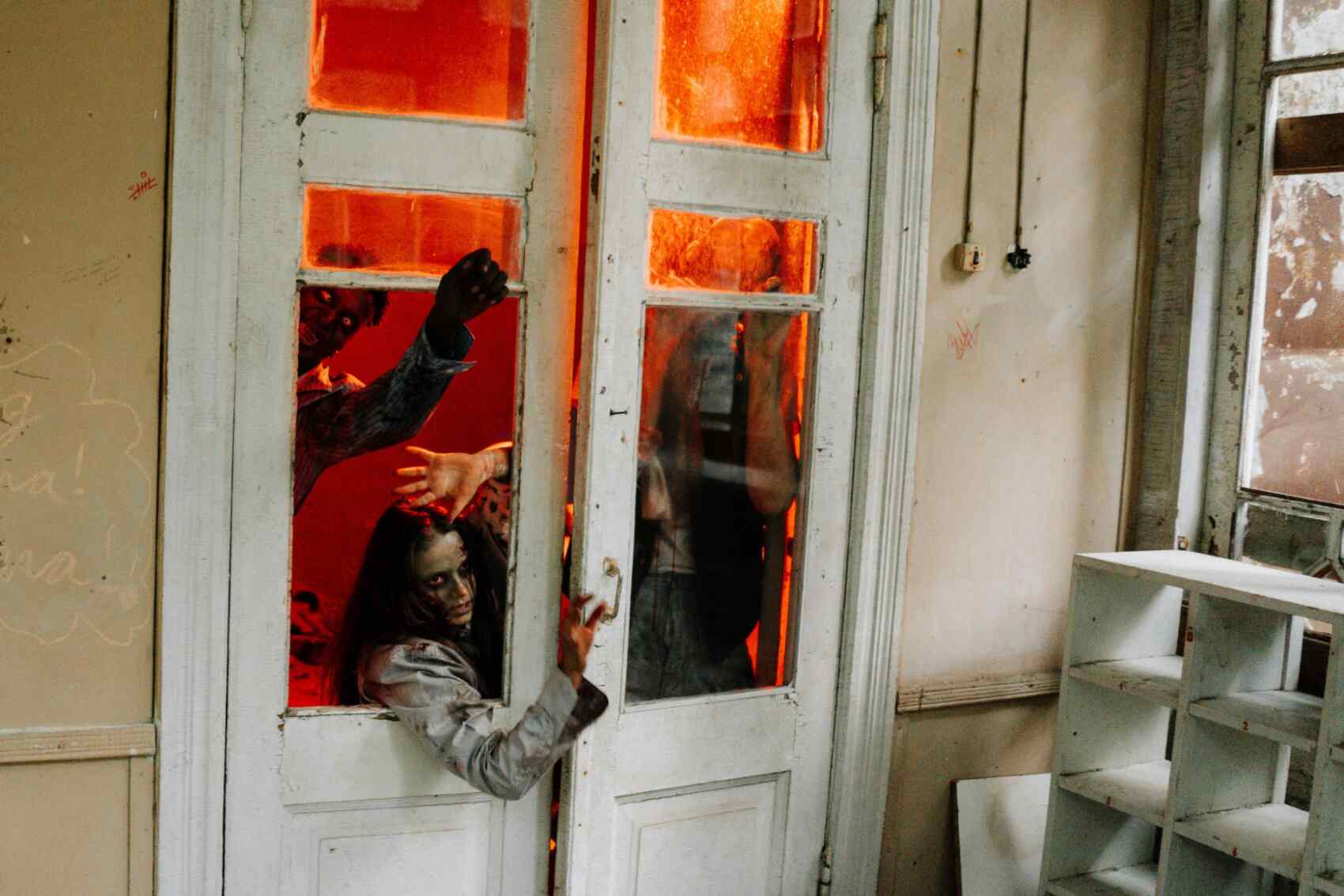 Zombie attacking a house