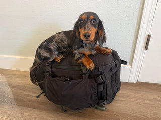 THE BLACKOUT- GridFail Survival Bag