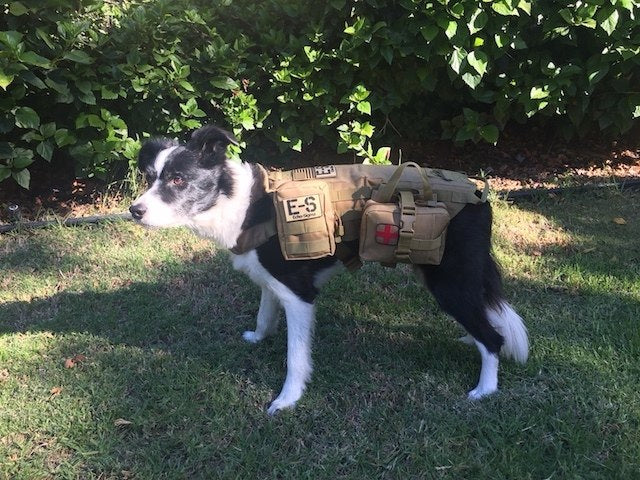 Echo-Sigma "Dog Pack" Emergency Kit